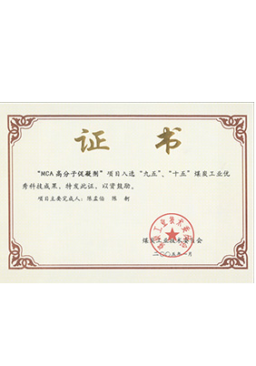 2005年1月MCA高分子促凝劑獲“九五、十五”科技成果獎